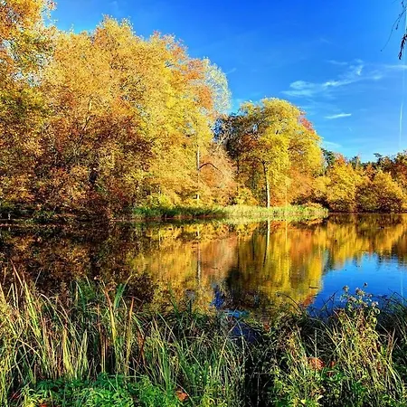 Le Julia - Neuf - Gare Et Garage Compiègne